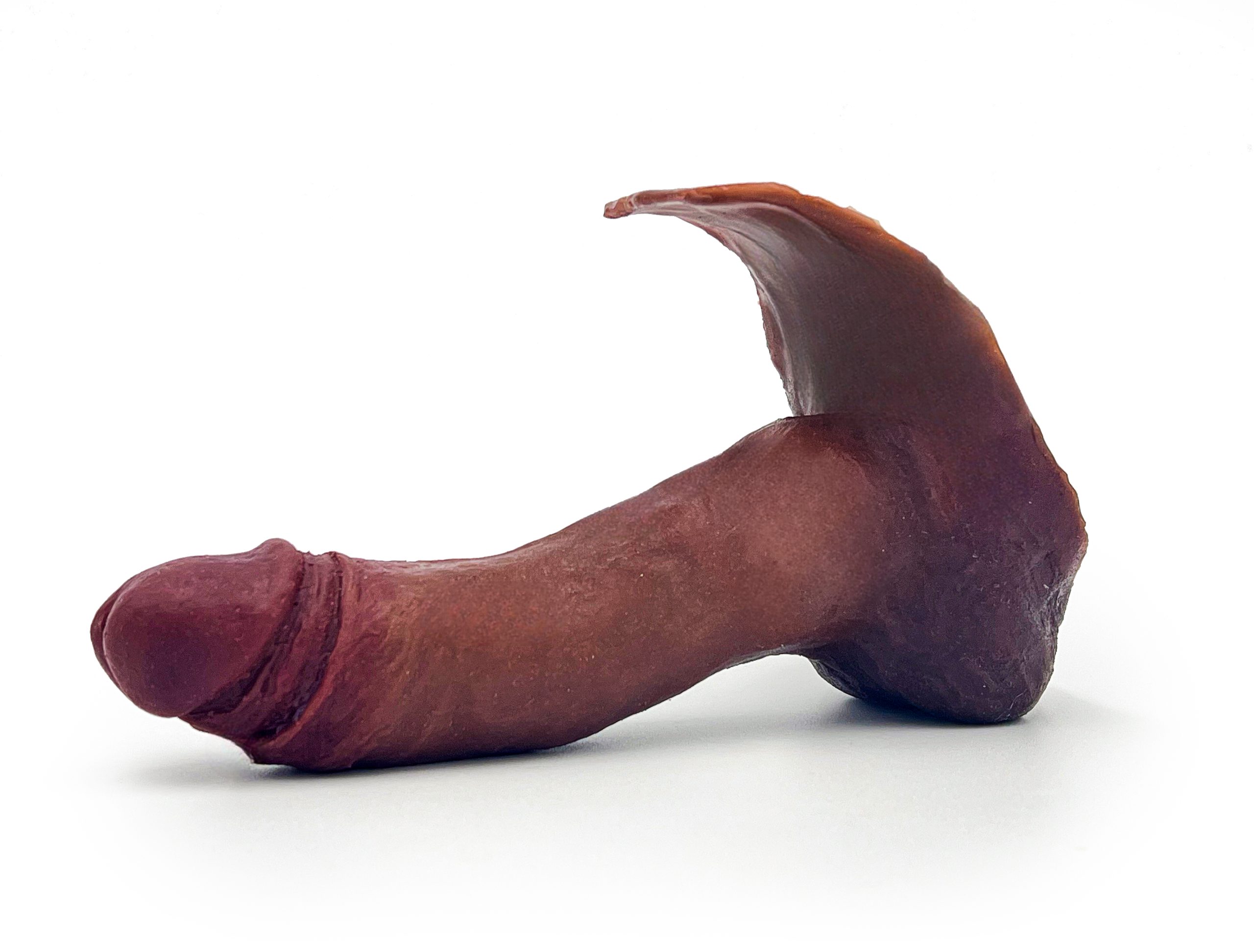 Large Prosthetic Penis "Hector" 11 Large Prosthetic Penis "Hector" - Image 11