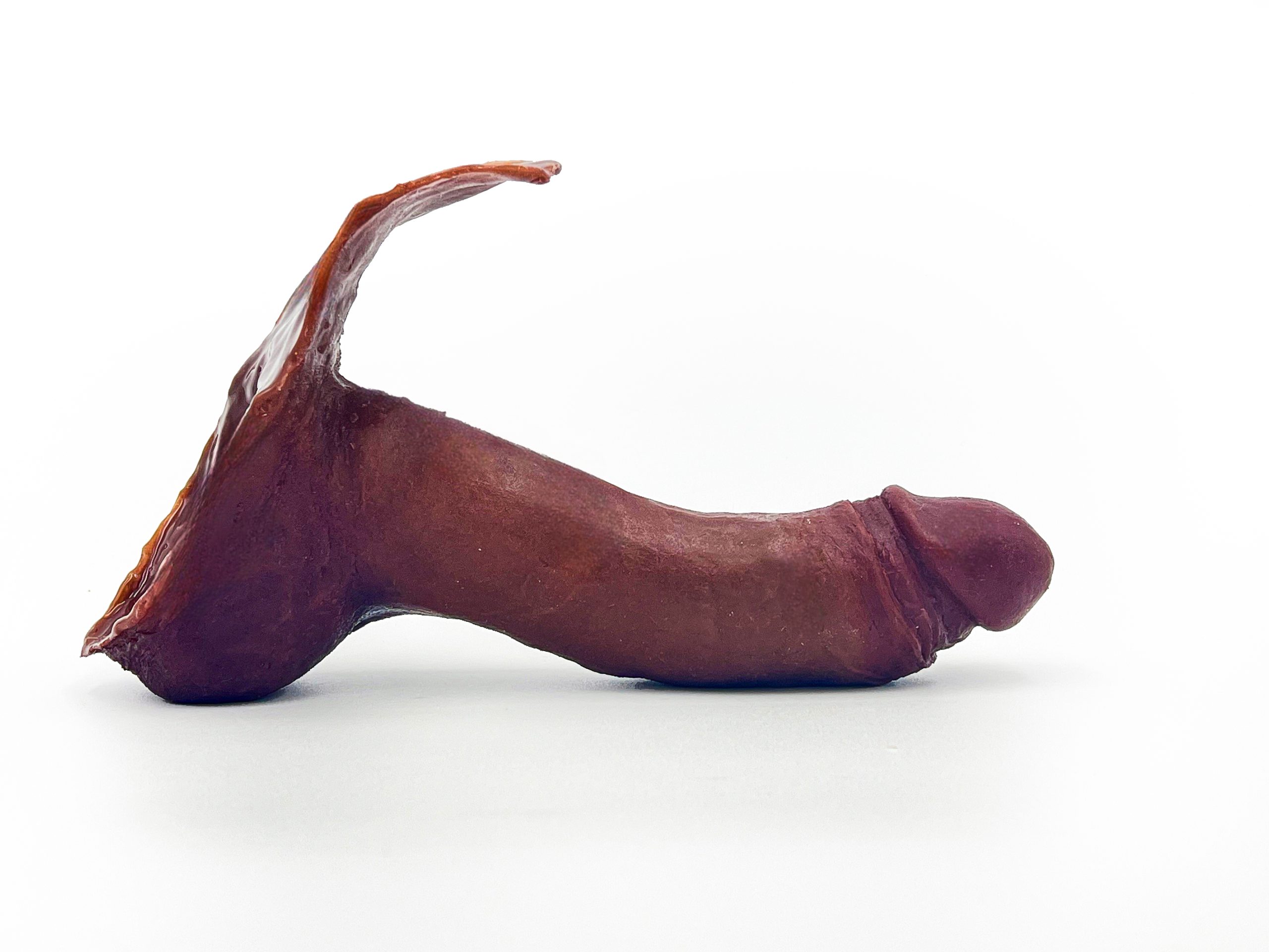 Large Prosthetic Penis "Hector" 10 Large Prosthetic Penis "Hector" - Image 10